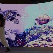 LED Interactive Demo