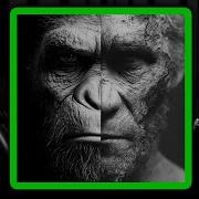 How Evolution Works Dave Hone And Lex Fridman
