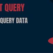 React Query Tutorial 18 Initial Query Data