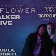 Badflower Stalker Drum Solo Live Destin FL 5 18 23