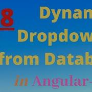 How To Create Dynamic Dropdown From Database In Angular 9 And Web Api 3 0 Save Category Part 8
