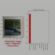 Physical Adversarial Attack Video