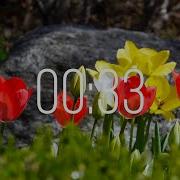 33 Second Timer With Music Spring Timer