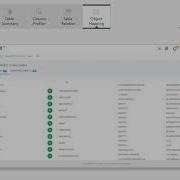 Data Profiling Demo