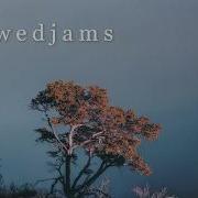 Khalid Coaster Slowed Reverb
