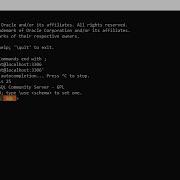 Mysql Shell Start