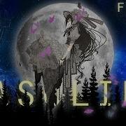 FSM Gasoline MEP