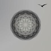 Python Turtle Spiraling Squares Pattern