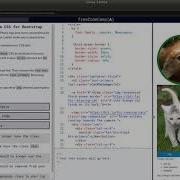 Bootstrap Front End Libraries Free Code Camp