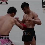 Gut Punch AVI 5