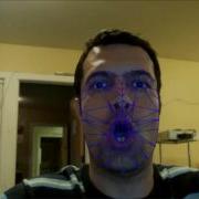 Face Tracking And Facial Landmark Extraction Using Active Appearance Models