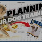 Creating Your Dog Training Plan Susan Garrett S Checklist 131 Podcast