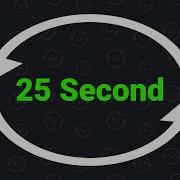 25 Second Interval Timer
