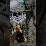 Snap Cut Chainsawsafety Trending