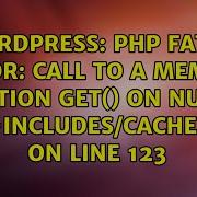 PHP Fatal Error Call To A Member Function Get On Null In Wp Includes Cache Php On Line 123