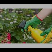 Introduction To Integrated Pest Management