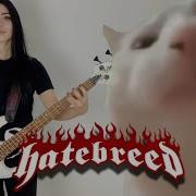 Hatebreed Destroy Everything Ft Vibing Cat Bass Cover