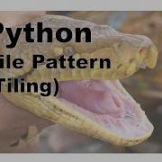540 Python Tiles Tiling Graphics