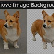 Auto Background Remover Background Remove