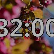 32 Minutes Timer With Music Spring Timer