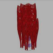 Revealing The Remarkable Nanostructure Of Human Bone