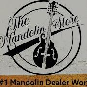 Collings MT Mandola