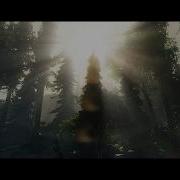 Forest CRYENGINE