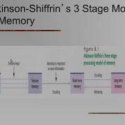 Introduction To Psychology Cognition And Memory Processing