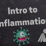 Introduction To Inflammatory Response