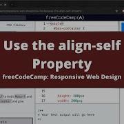 Use The Align Self Property CSS Flexbox FreeCodeCamp Tutorial