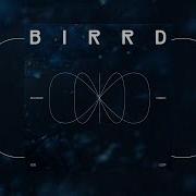 Birrd Void Loop