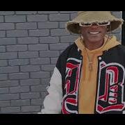 YOLO Freestyle
