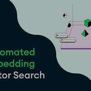 Automated Embedding In Vector Search