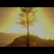 Tree God Ray Animation Test Unreal Engine 4