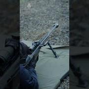 50 BMG Echo In The Canyon