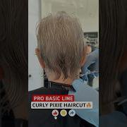 PRO BASIC LINE CURLY PIXIE HAIRCUT Complete Tutorial Linked Below