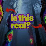 Why Do You See Faces In Things The Psychology Of Seeing Patterns Apophenia And Pareidolia