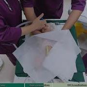 Neonatal Resuscitation Program NRP Simulation Training 3 Intubation Compressions Drugs Admin