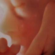 Conception To Birth Visualized Alexander Tsiaras