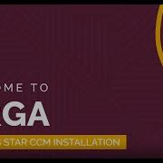 FIRGA Siemens Star CCM Installation