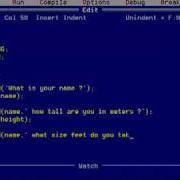 Pascal Variables