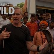 Snake Charmers Animal Underworld