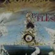Cryptopsy Mutant Christ Misheard Lyrics