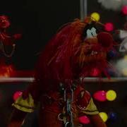 Muppet Songs Rainbow Connection 2011