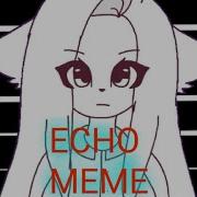 Echo Meme Flashing Warning