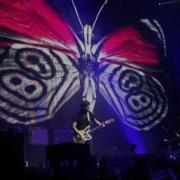 Дельфин 6 30 Am Live Известия Hall 22 02 2013