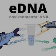 Biomonitoring Using EDNA Environmental DNA