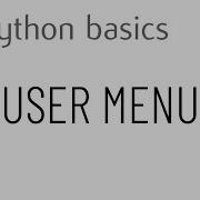 Python Basics User Menu