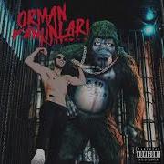 Ben Fero Biladerim İçin Official Audio SÖZLERİYLE