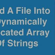 Read All File Lines Into A Dynamically Allocated Array Of Strings C Programming Example
